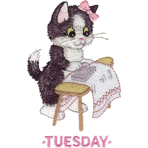 Tuesday Kitten