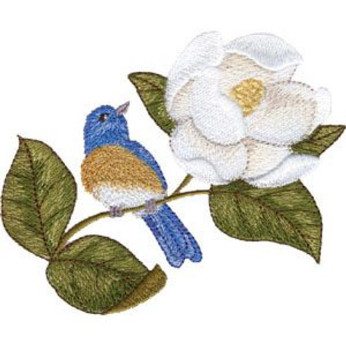 Magnolia & Bluebird Magnolia & Bluebird
