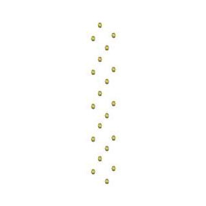 Dot Border
