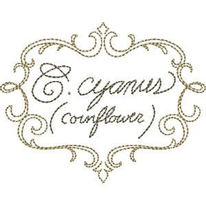 Cornflower Nameplate