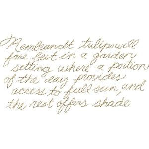 Tulip Text
