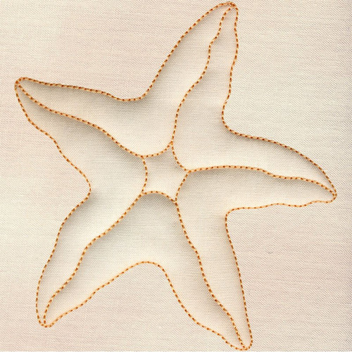 Starfish | 12396-11