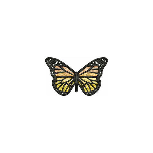 FSL Butterfly 1