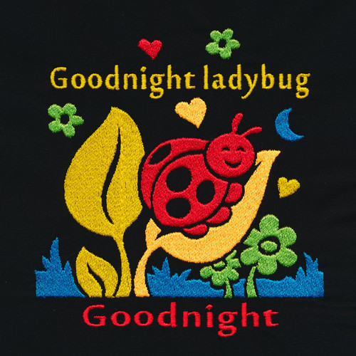 Goodnight Ladybug Goodnight