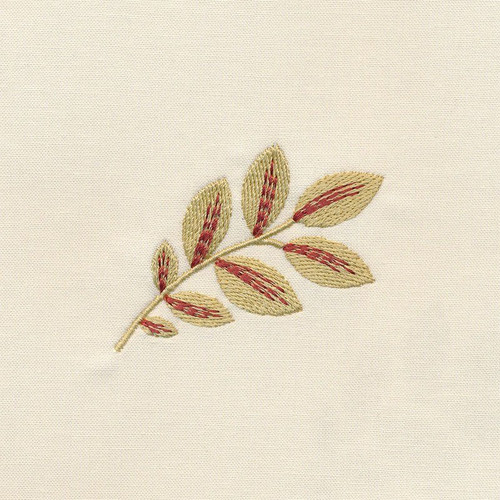 Branch for Paisley