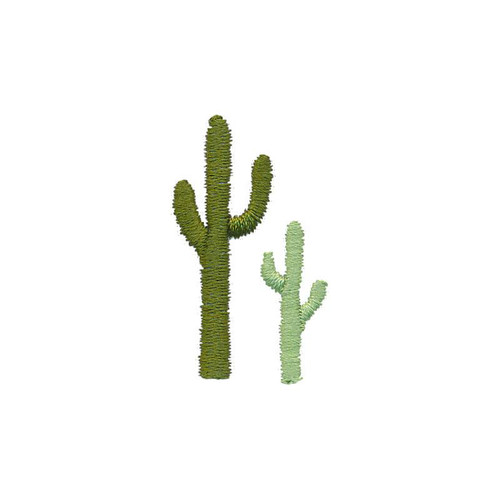 Cactus Corner