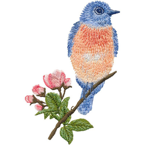 Bluebird 3