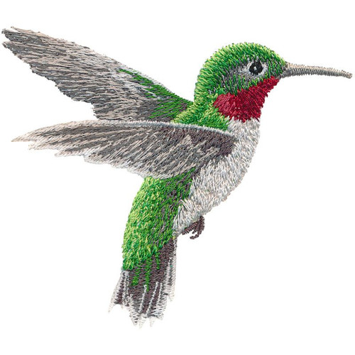 Ruby-throated Male 2
