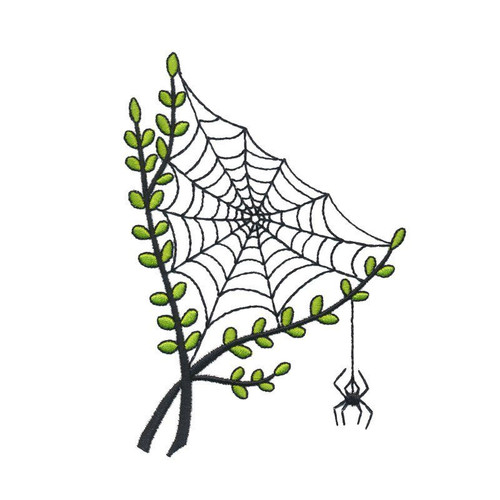 Spider Web