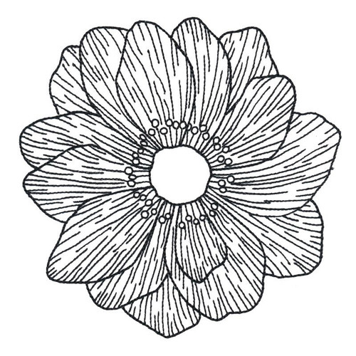 Anemone Medium Anemone Medium