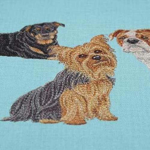 Beloved Dogs by Kathleen Keil Hill Beloved Dogs by Kathleen Keil Hill