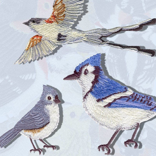 Backyard Birds