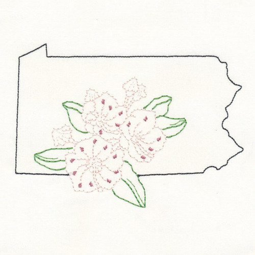 Pennsylvania Mountain Laurel