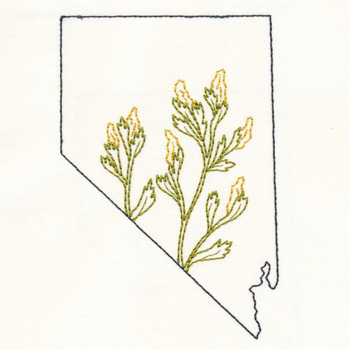 Nevada Sagebrush