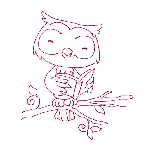 Studious Owl