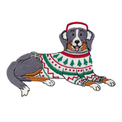 Earmuff Mountain Dog