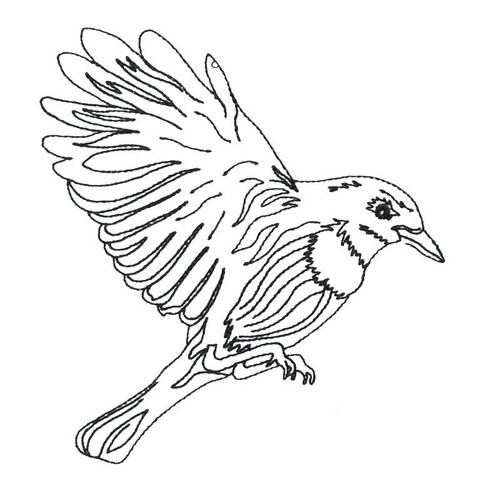 Bird Linework 3