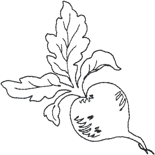 Turnip Linework