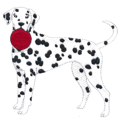 Dalmation