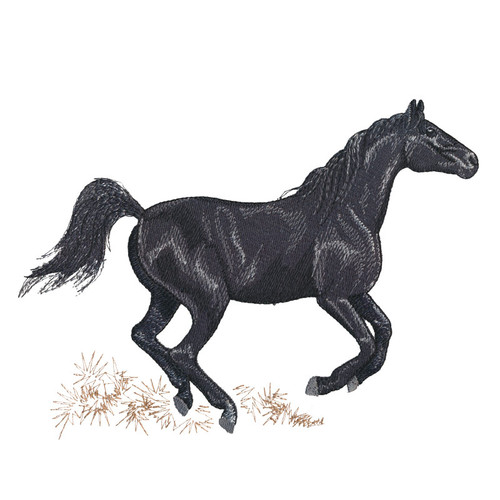Majestic Horse 6