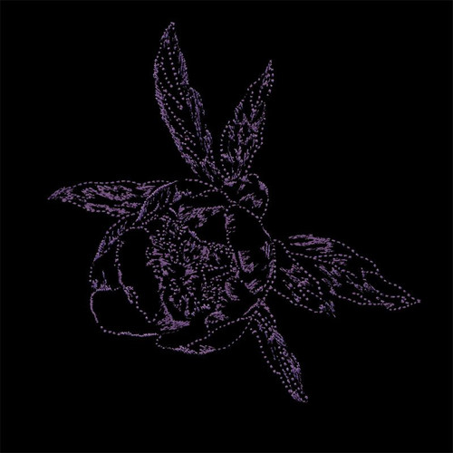 Violet Twilight Floral 5