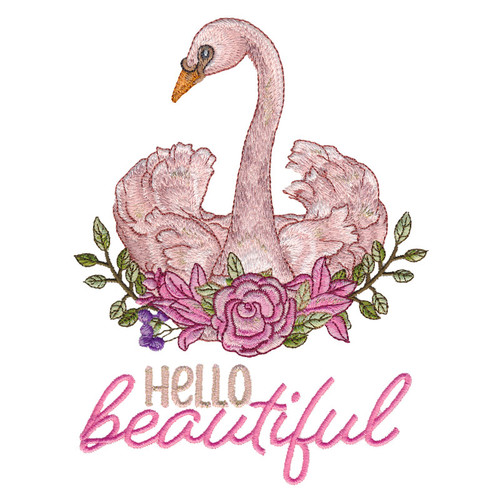 Hello Beautiful Swan