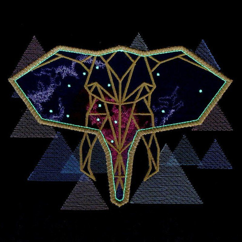 Galaxy Elephant