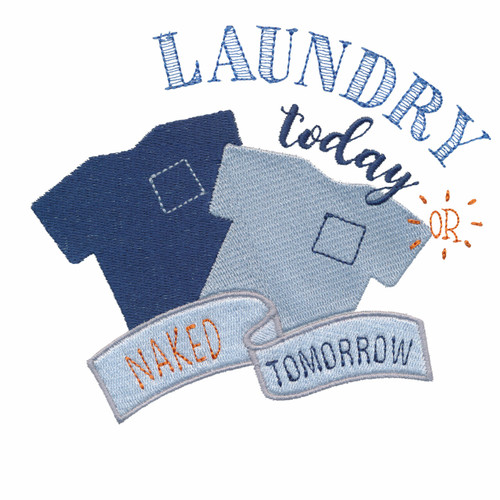 Laundry Today Or Naked Tomorrow 2