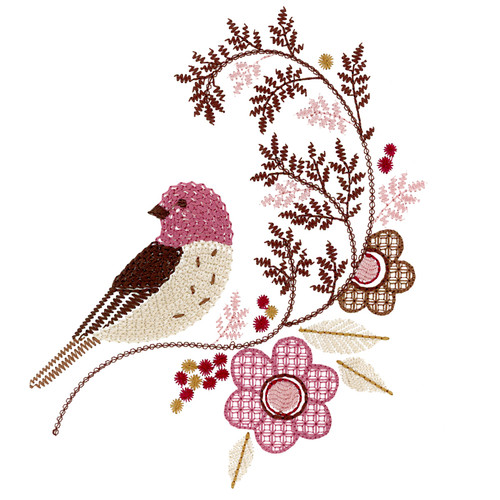 Bird & Branch