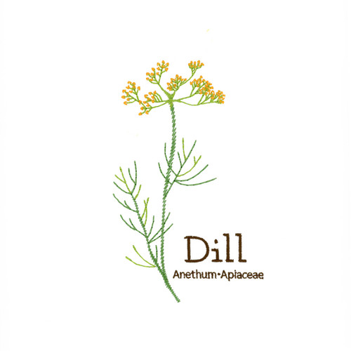 Dill | 12914-10