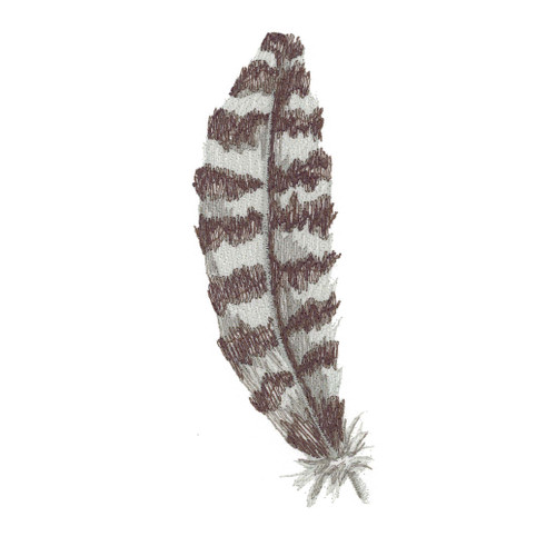 Watercolor Feather 10