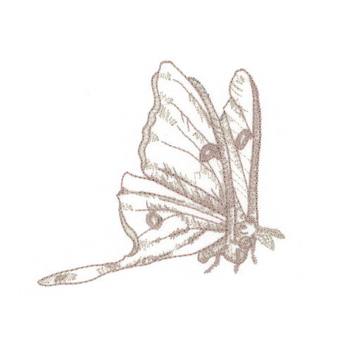 Luna Moth Sketch