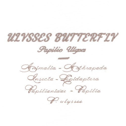 Ulysses Butterfly Scientific Names
