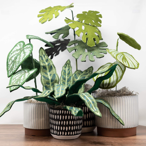 Freestanding Houseplants