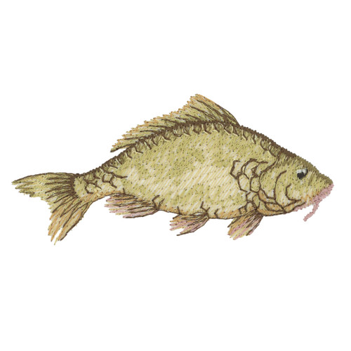 Painted Fish 12