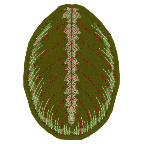 Maranta Leuconeura Small Leaf FSA