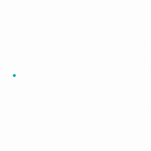 White Flowers 2 Border | LAD90113