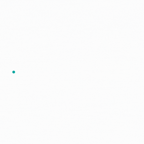 Poppy Border DIGITAL