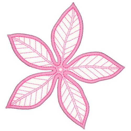Poinsettia Bracts 2 FSA