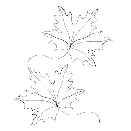 Maple Leaves | PK10116-01