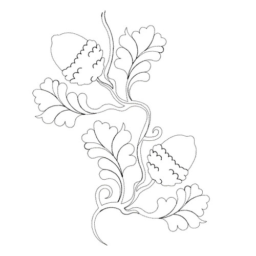 Oak and Acorn