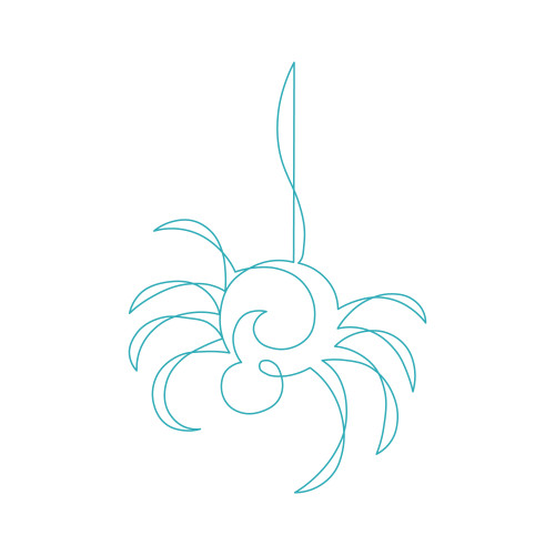 Continuous Spider Mini DIGITAL