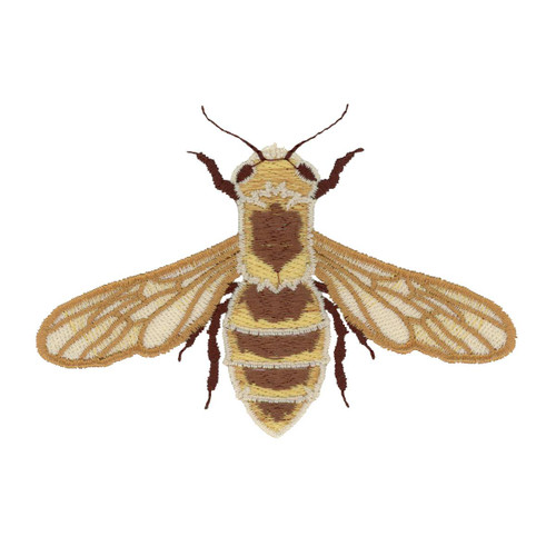 Bee Bottom Wings & Body