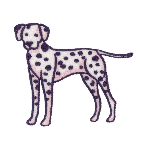 Everyday Dog 5