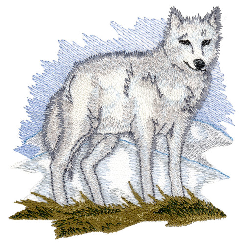 Arctic Wolf | WO788