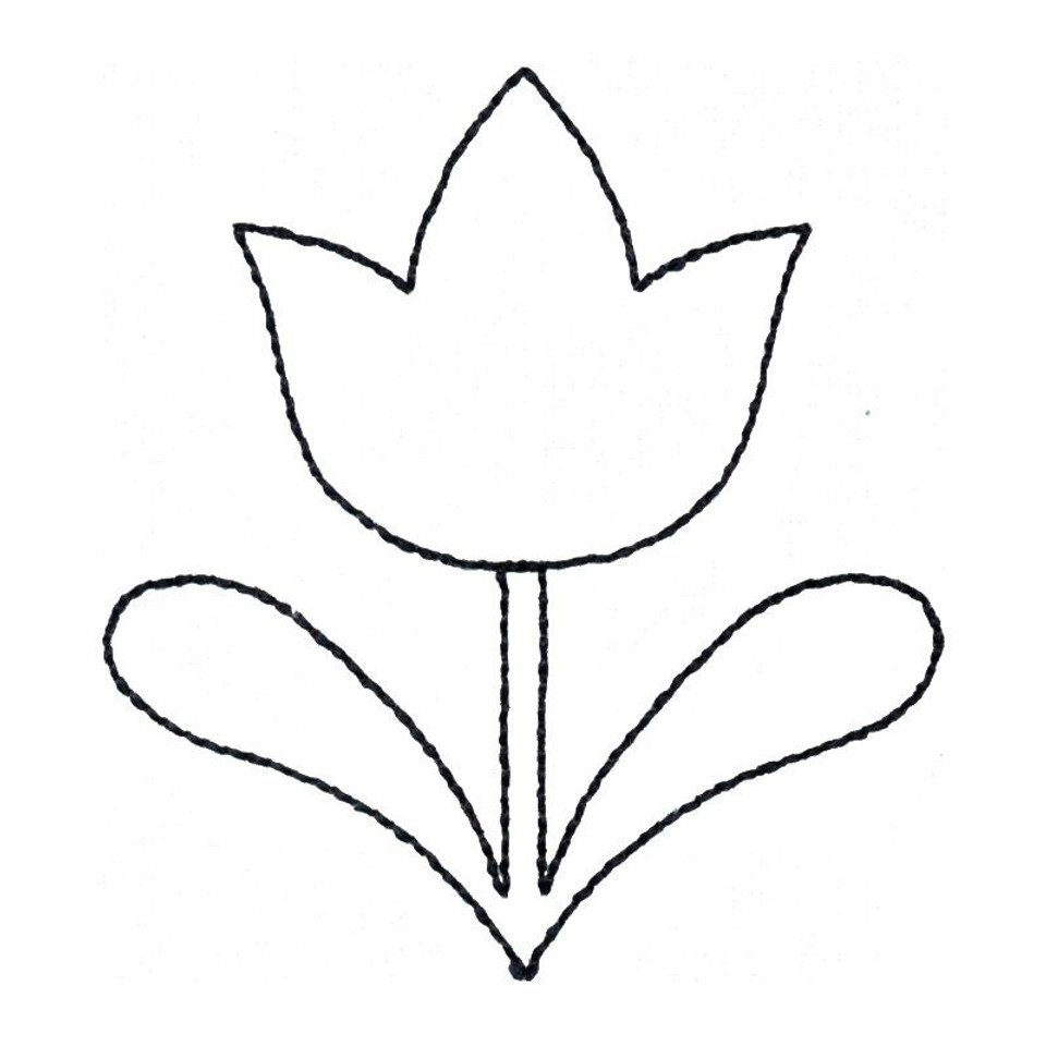 tiny-tulip