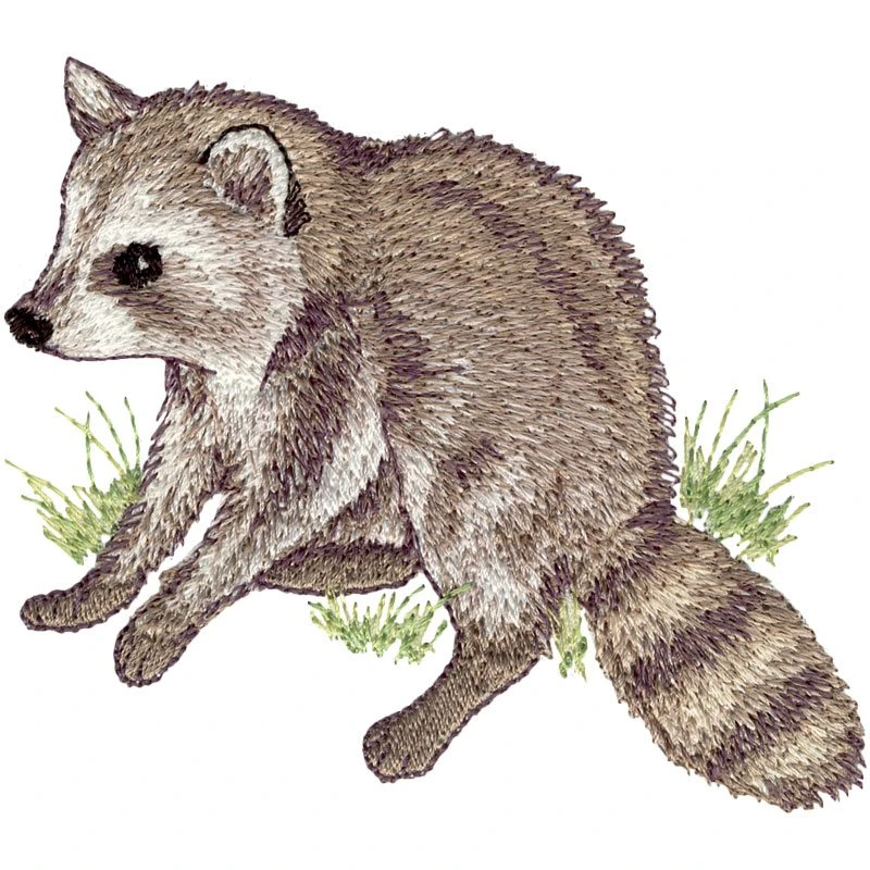 Baby Racoon Design Baby Raccoon