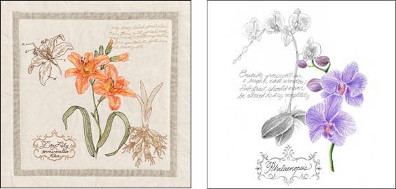 BOTANICAL ART 【import品】 Amazon.com: Botanical Garden Print Set No.11 - Botanical