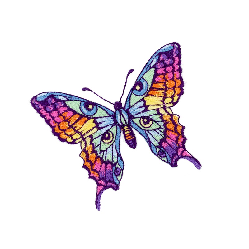 BUTTERFLY - Butterfly クリアフィールド 卓球ラケット butterfly 年代物 クリアフィールド 廃盤 希少