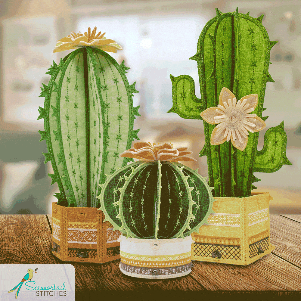 Freestanding Cacti